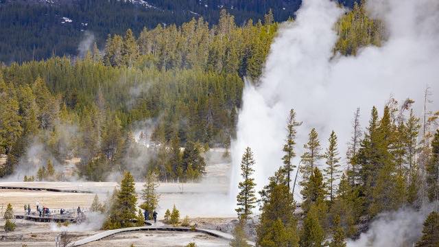 Gambar sampul halaman siaran Geyser Old Faithful