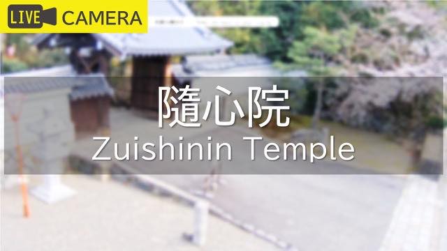 随心院の配信ページの表紙画像