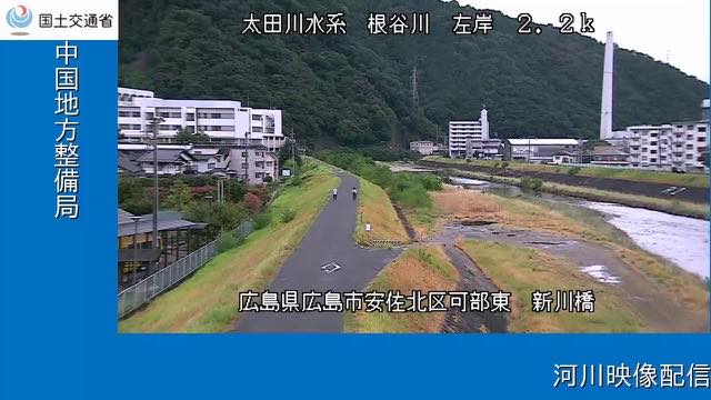 根谷川 新川橋の配信ページの表紙画像