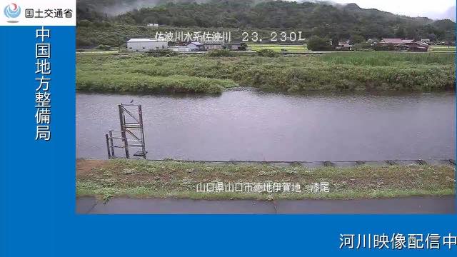 佐波川 漆尾の配信ページの表紙画像