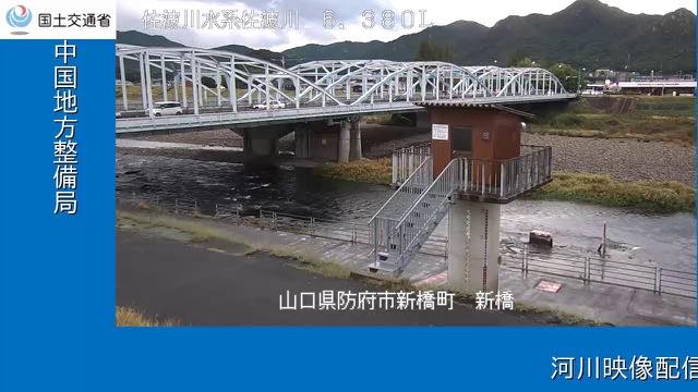 佐波川 新橋の配信ページの表紙画像