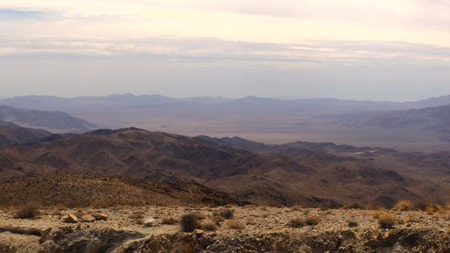 Sample frame from Joshua Tree National Park (August 2026)