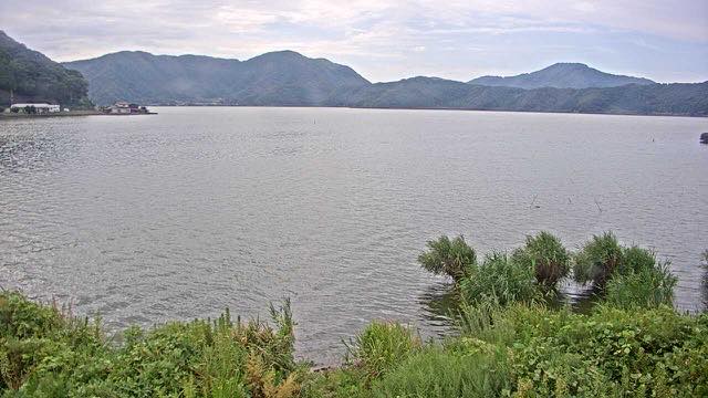 三方湖の水鳥の見本画像（2026年8月）
