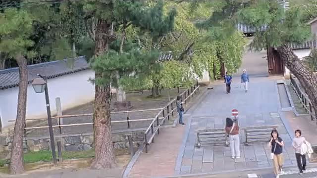 醍醐寺の見本画像（2026年10月）