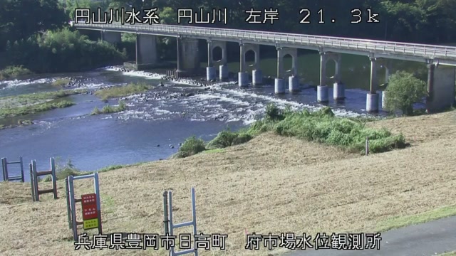 円山川・出石川ほかの見本画像（2026年10月）
