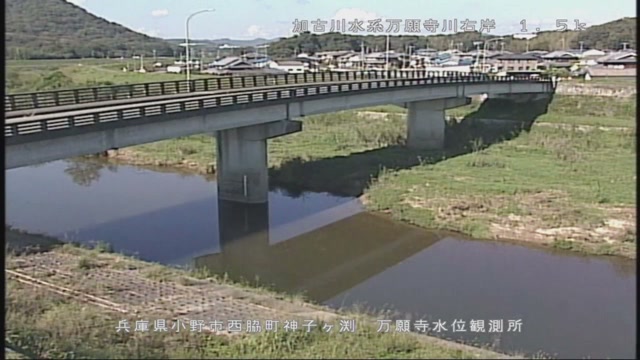 加古川・万願寺川の見本画像（2026年10月）