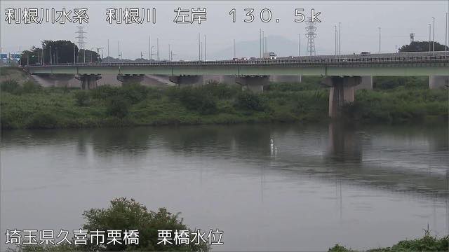 利根川・烏川の見本画像（2026年9月）
