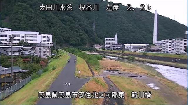 根谷川 新川橋の見本画像（2026年9月）