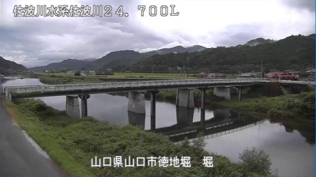 佐波川 堀の見本画像（2026年9月）