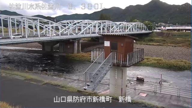 佐波川 新橋の見本画像（2026年9月）