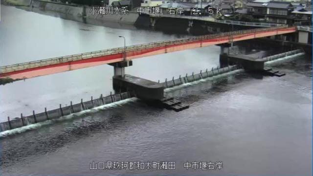 Contoh gambar dari Sungai Oze, bendung Nakaichi (September 2026)