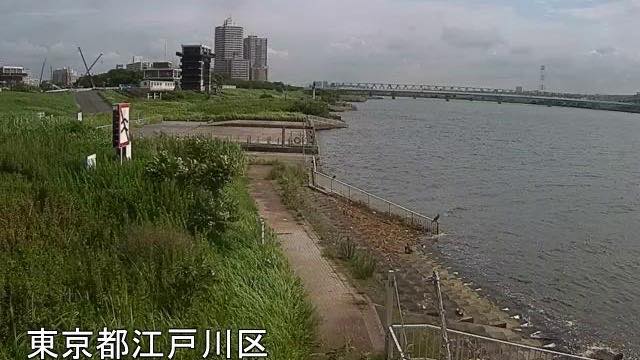 Sample frame from Komatsugawa emergency wharf (August 2026)